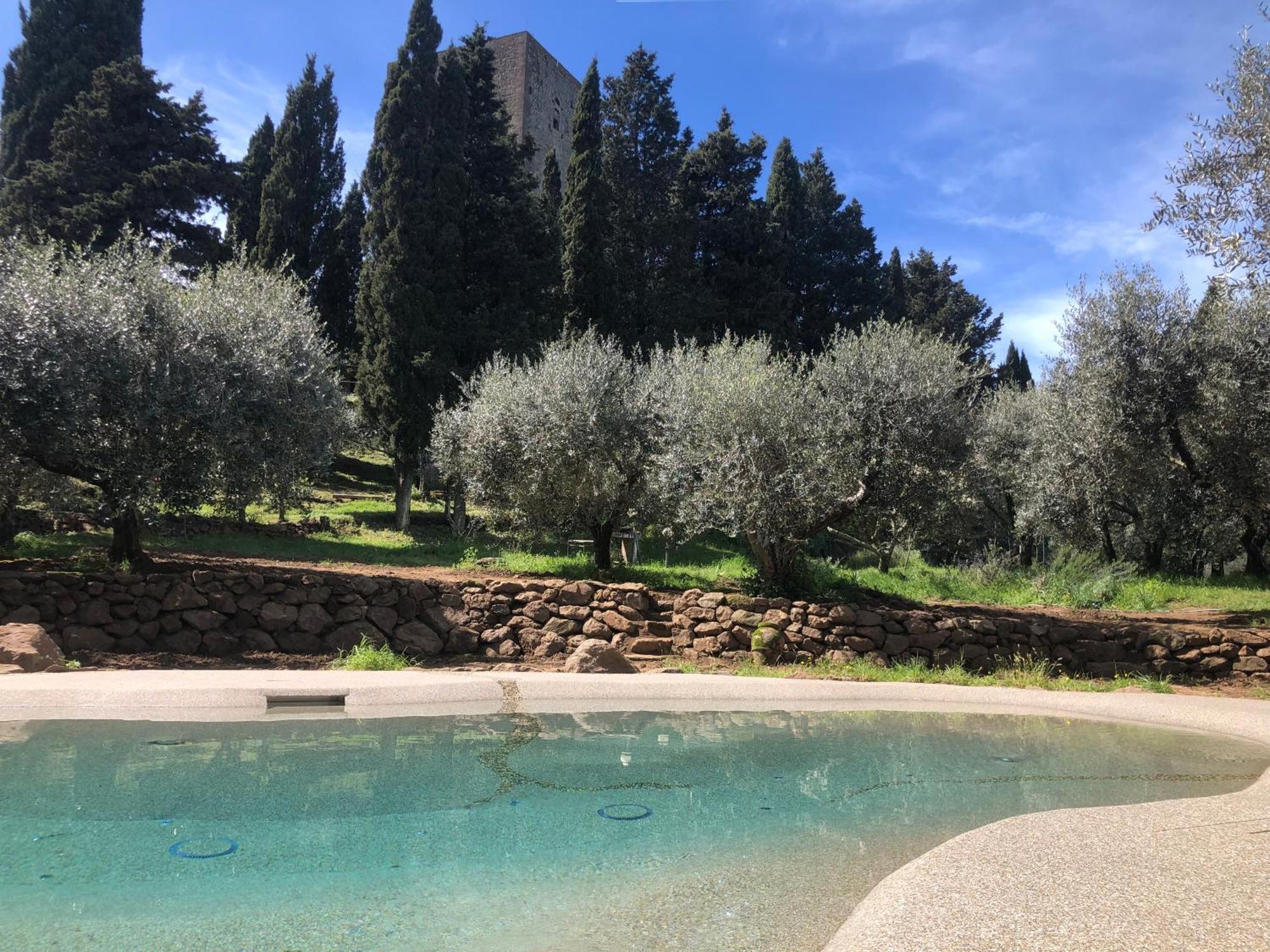 Torre dei Belforti Montecatini Val di Cecina Eksteriør bilde